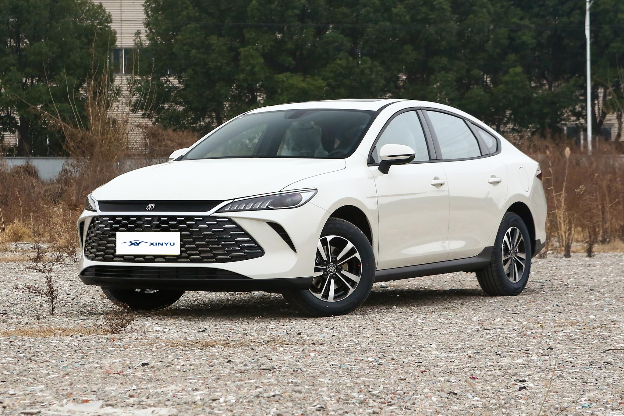 Byd Qin Plus Dmi Flagship New Energy Vehicles Byd New Car