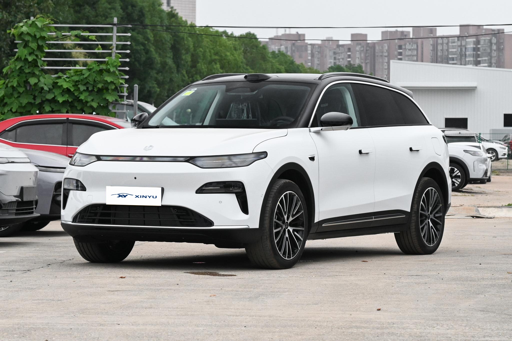 Leapmotor C11 Hybrid Auto SUV High Performance Mid-Size 5-Door 5-Seater New Energy Vehicles